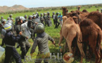 أين وصل ملف إنشاء معمل ومقلع بتزطوطين بعدما أصبح زعيم المحتجين على المشروع رئيسا للمجلس القروي؟