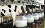 إنتاج الحليب بإسبانيا يدخل مرحلة حرجة.. والمغرب مورد محتمل