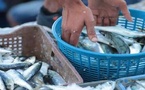 خطة المغرب لخفض أسعار السردين قبل رمضان تثير قلق المصدرين والصيادين الإسبان