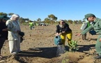أرقام صادمة عن التشجير بالمغرب: 56٪ فقط نسبة النجاح لهذا السبب