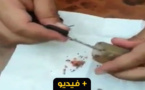 بالفيديو.. العثور على طلاسم و جداول وحروز داخل إحدى سيارات الأجرة بالناظور‎