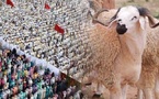 حسابات فلكية ترجح حلول عيد الأضحى بالمغرب في هذا التاريخ