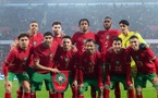 الأسود يخوضون  ودية ثالثة أمام منتخب النرويج في هذا التاريخ