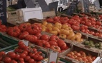 المغرب ضمن أسباب ارتفاع قياسي لأسعار الطماطم في أوروبا