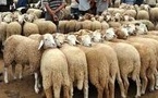 توجه نحو تمديد عطلة عيد الأضحى وصرف الأجور مبكرا لتخفيف الضغط على المواطنين
