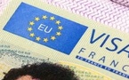إدانة مهاجر بإسبانيا في قضية تزوير جوازات للهجرة