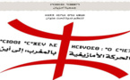 الحركة الأمازيغية بالمغرب، إلى أين؟