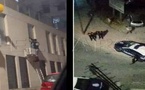 مغربيان يحملان رضيعا كسرا نافذة واقتحما منزلا في سبتة