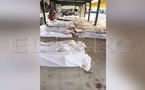 صحيفة إسبانية: استمرار البحث عن جثث قبالة سبتة مع تصاعد تداعيات أزمة الهجرة