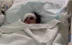 بعد حادث سير خطير.. أسرة مغربية تناشد لإنقاذ شابة عالقة في جمهورية  الدومينيكان