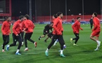 المنتخب المغربي يفتتح تصفيات كأس أمم إفريقيا بمواجهة الغابون وليسوتو