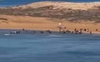 قارب يقل نحو 50 مهاجرا يصل إلى إسبانيا