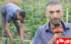 المزارع عبدو الفتاحي يشرح لناظورسيتي كيفية إنتاج بعض الخضروات بالضيعات الفلاحية الصغيرة بالريف‎