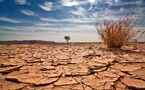 عبر الأقمار الصناعية.. مشروع أوروبي يتنبأ بالتصحر قبل وقوعه في المغرب