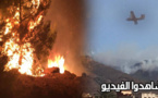 عملية إخماد الحريق بغابة كوروكو متواصلة والسلطات تستعين بطائرات الإطفاء للسيطرة على النيران