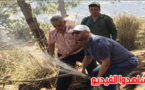 حوليش ينتقل إلى غابة كوركو ويساهم في إخماد الحريق بحضور عامل الناظور ووالي الجهة 
