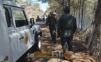 حريق "غورغو" تحت سيطرة رجال الإطفاء وأنباء عن اعتقال مهاجرين من جنوب الصحراء للتوّصل إلى أسباب اندلاع النيران
