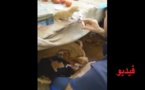 بائع خضر ناظوري يعتني بقطط صغيرة يشتهر بأرجاء المغرب بعد ذيوع هذا الفيديو