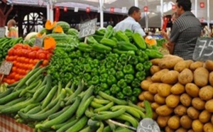 حقوقي يكشف عجز مخطط المغرب الأخضر ويدعو لمحاسبة المسؤولين