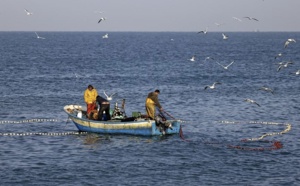 قطاع الصيد في تمسمان.. مشكلات متعددة وحلول مقترحة للنهوض به