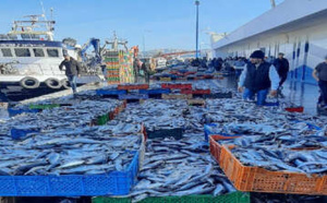 انهيار صيد الأسماك السطحية بالناظور.. انخفاض بنسبة 46%