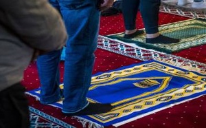 هولندا.. تحقيقات حكومية تثير استياء المسلمين بسبب جمع بيانات سرية