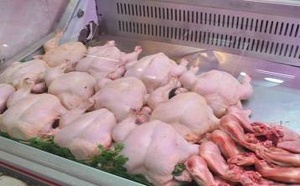 هل فعلا قامت الصين بحظر واردات الدجاج من المغرب؟ مصدر رسمي يوضح