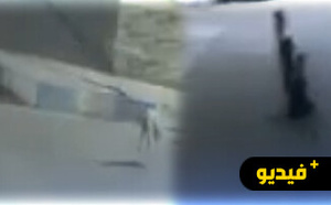 وفاة طفل! ليس بعد.. شاب بالعروي يفر هاربًا من هجوم كلاب ضالة.