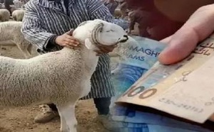 انطلاق صرف المنح المباشرة لمربي الماشية في المغرب وهذه قيمتها