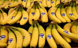 دراسة حديثة تكشف: خفض خطر أمراض القلب بـ 24% بفضل هذه الأطعمة البسيطة