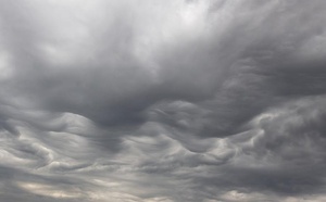 طقس السبت.. ضباب محلي وأمطار خفيفة مع رياح قوية على السواحل