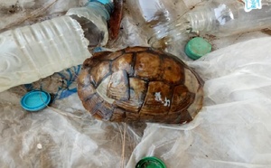 النصب عبر الشعوذة تطيح بإمام زاوية في قبضة الأمن