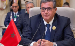 سابقة.. شكاية ضد رئيس الحكومة بتهمة “إهانة العلم الوطني” تجره للمساءلة