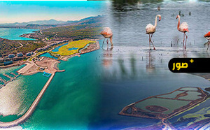 اجتماع استراتيجي لتعزيز حماية البيئة واستعادة النظم الإيكولوجية لبحيرة مارشيكا