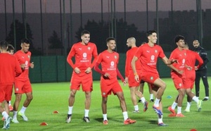 الإصابة ترغم أكرد على مغادرة معسكر الأسود مبكرا