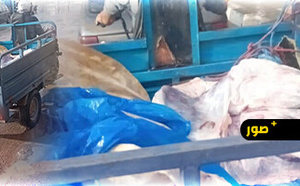نقل اللحوم بـ"تريبورتور" في بن الطيب ينذر بكارثة صحية.. ومطالب بتدخل عاجل
