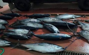 عملية تفتيش في مضيق جبل طارق تكشف 21 سمكة دون وثائق قانونية