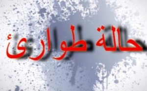 هولندا توزع كتيّب طوارئ على كل المنازل وسط تصاعد المخاطر العالمية