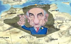 رمسيس بولعيون يكتب.. الجزائر تصوت ضد غزة… والجمهور يضبط دبلوماسيته على وضع “الطيران المنخفض”