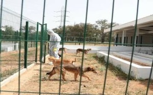 هذه مستجدات المشروع الضخم لإيواء الحيوانات الضالة.. ومستوى تقدم الأشغال في المدن المعنية