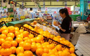 المغرب يحقق قفزة غير مسبوقة في صادرات الماندرين والكلمنتين إلى ألمانيا