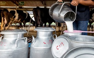 لماذا لا يدخل الحليب المغربي إلى أسواق الاتحاد الأوروبي؟ توضيحات إسبانية