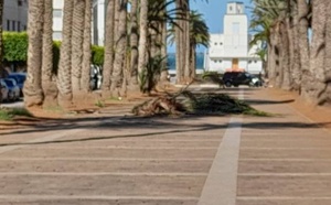 أخيرا.. المجلس الإداري لمارتشيكا يصادق على تهيئة شارع محمد الخامس وسط الناظور و30 مليار لتهيئة الجماعات