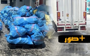 استنفار بـ"طنجة المتوسط".. تنسيق أمني محكم ينهي مغامرة تهريب 8 أطنان نحو أوروبا