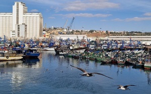 استفار بعد العثور على جمجمة بشرية بالميناء