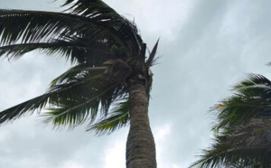 نشرة إنذارية: هبات رياح قوية مرتقبة الجمعة بعدد من مناطق المملكة