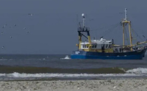 بعد القرار الأممي.. أسطول الصيد الروسي يتهيأ للعمل في مياه الصحراء المغربية