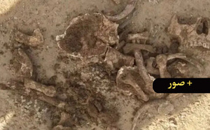 العثور على بقايا عظام بشرية أثناء حرث أرض فلاحية يستنفر السلطات
