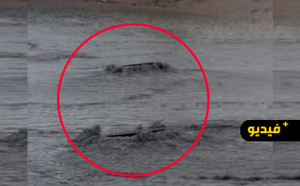 البنية التحتية "الصيفية" تغرق الناظور.. و“حي المطار” بين نزول المياه من السماء وخروجها من البالوعات