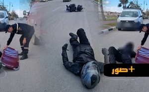 رعب على الطريق الوطنية رقم 6.. الكلاب الضالة تتسبب في "سقوط حر" لصاحب دراجة